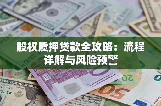北京股权质押贷款全攻略：流程详解与风险预警