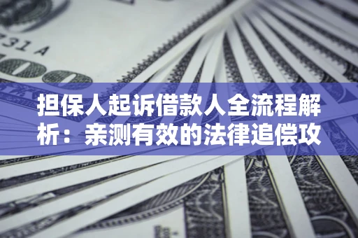 北京担保人起诉借款人全流程解析：亲测有效的法律追偿攻略