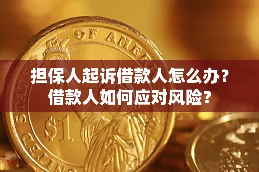 北京担保人起诉借款人怎么办？借款人如何应对风险？