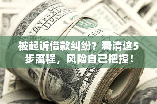北京被起诉借款纠纷？看清这5步流程，风险自己把控！