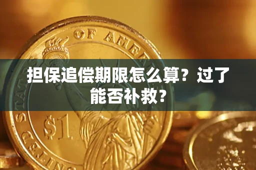 北京担保追偿期限怎么算？过了能否补救？