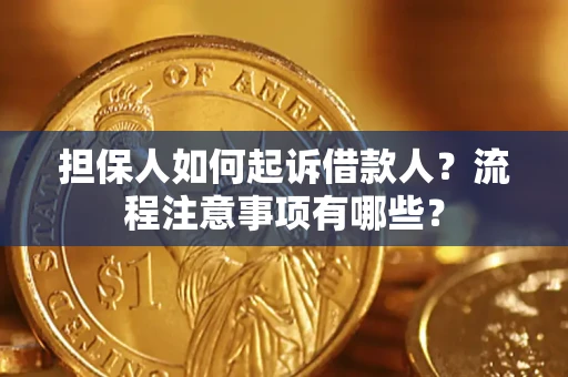 北京担保人如何起诉借款人？流程注意事项有哪些？